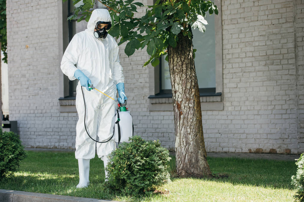 Residential pest control services protecting homes from common household pests