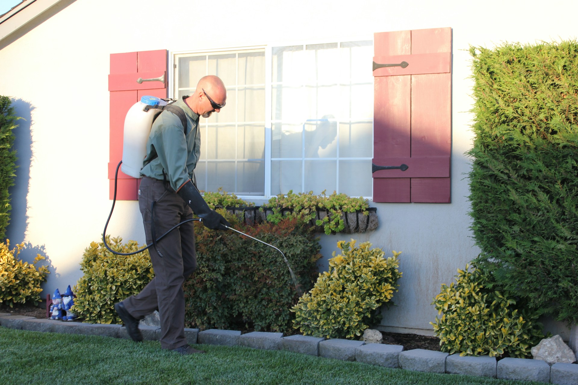 Pest control services for homeowners and businesses across the United States