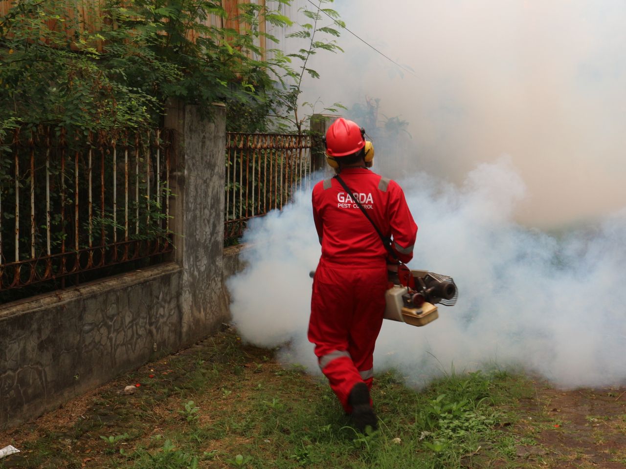 Employees supporting pest prevention and workplace pest management efforts