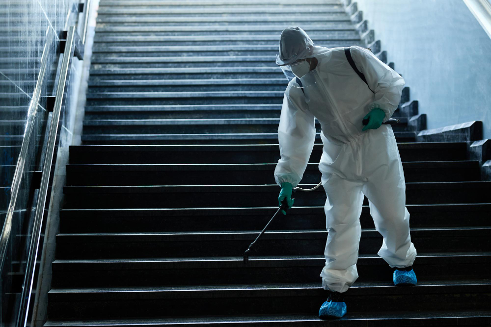 Professional attic rodent removal and cleanup services in Austin