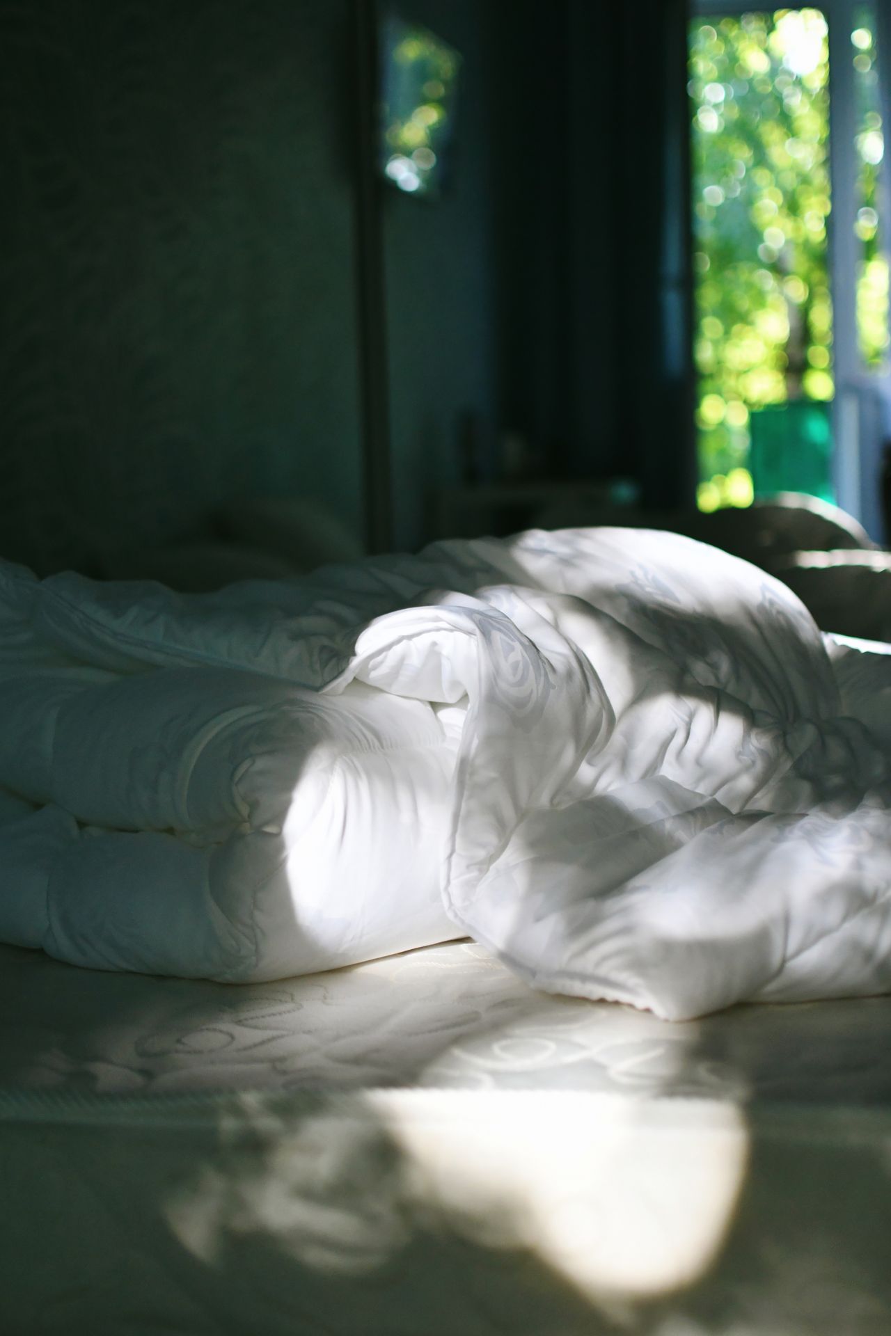 Bedroom inspected for bed bugs and signs of pest activity