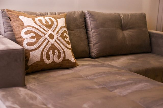 Living area inspected for bed bugs and hidden pest activity