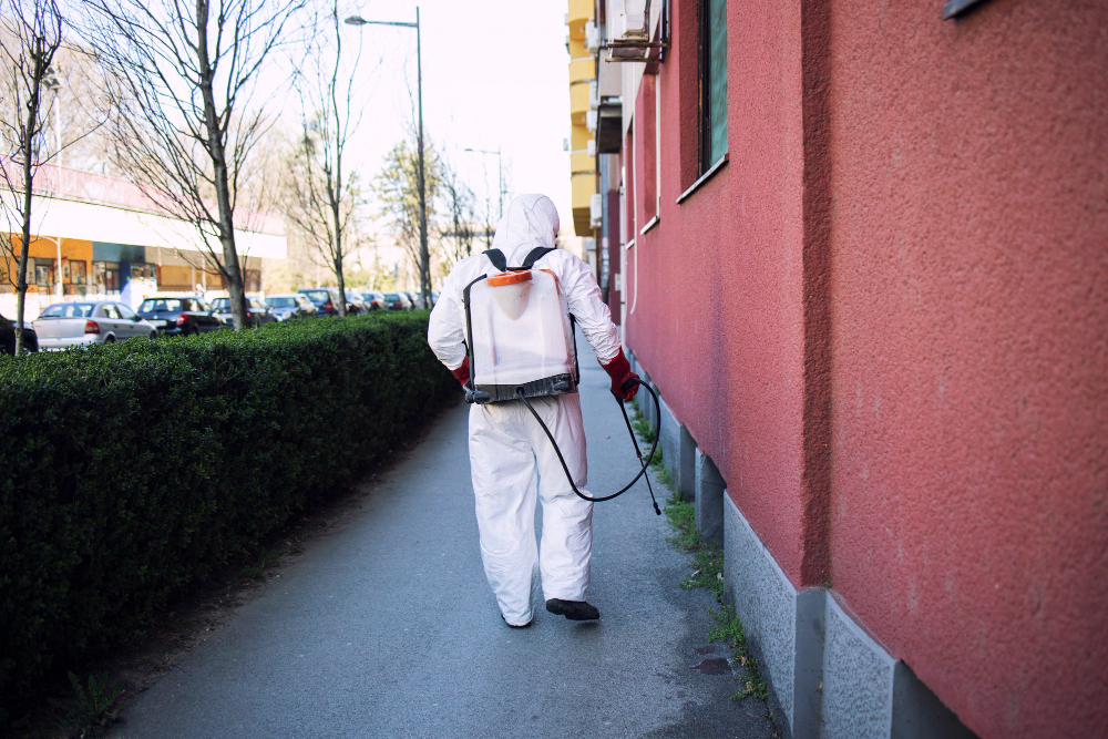 Residential ant extermination services for homes with ant infestations