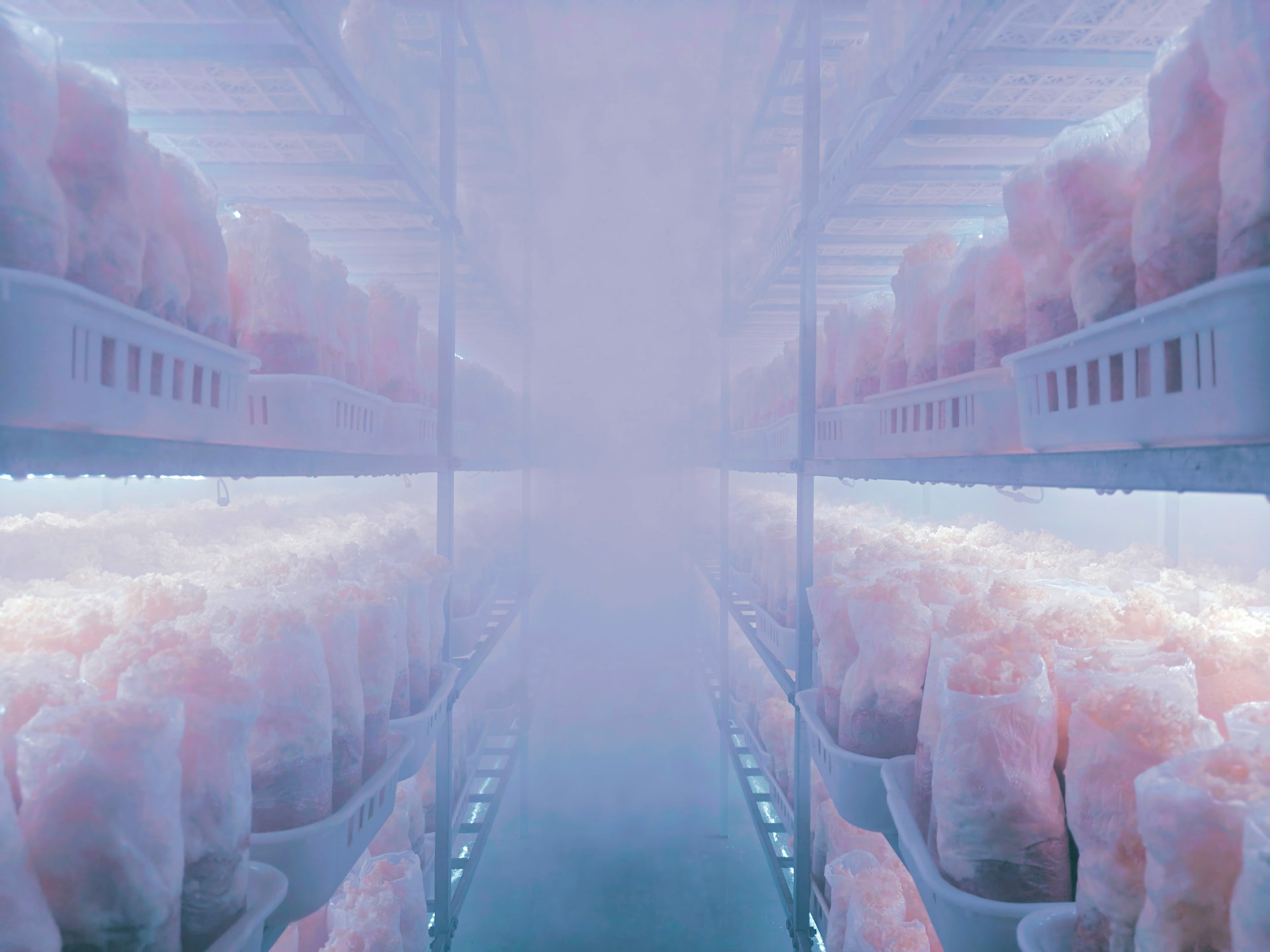 Cold Storage Pest Control Services