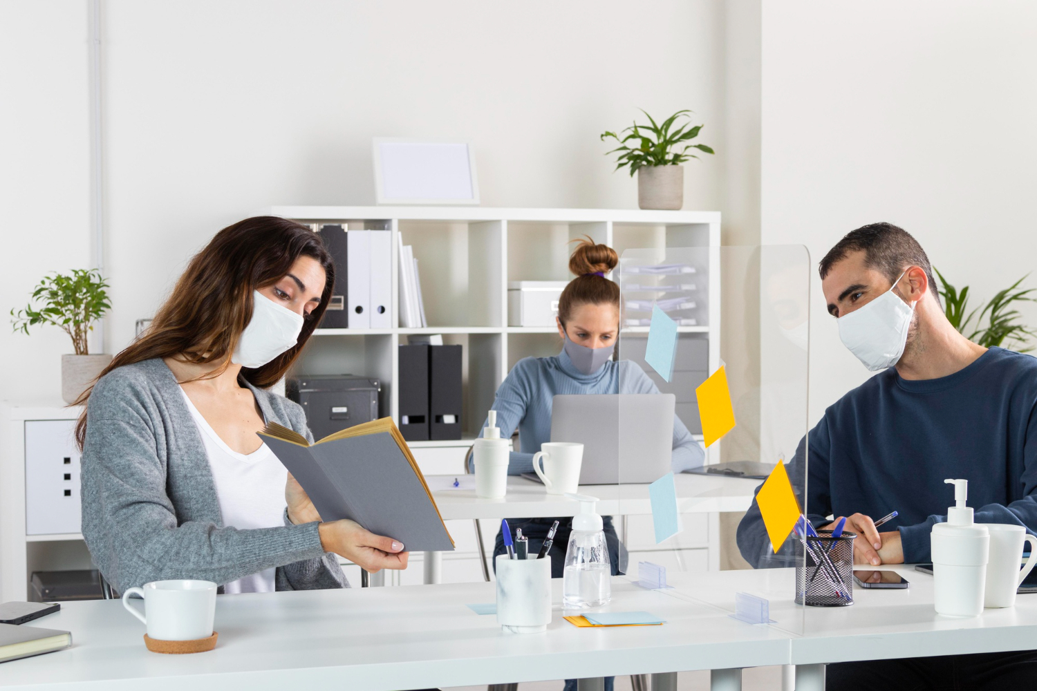 Is Office Pest Control Safe for Your Staff