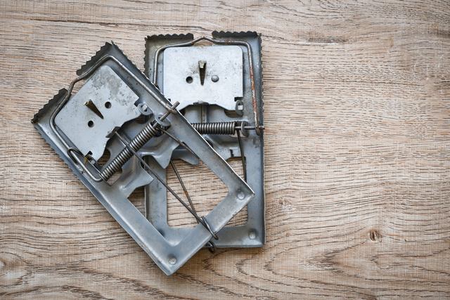 Honest Pros and Cons of Rodent Control Methods