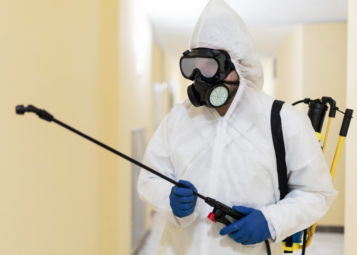 What a Wasp Exterminator Actually Does
